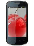 Best available price of Celkon A19 in Kazakhstan