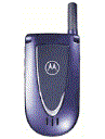 Best available price of Motorola V66i in Kazakhstan